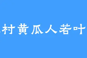 农村黄瓜人若叶睦