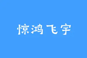 惊鸿飞宇