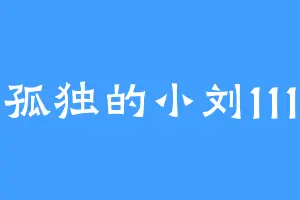 孤独的小刘111