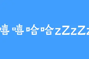 嘻嘻哈哈zZzZz