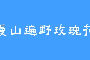 漫山遍野玫瑰花