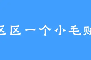 区区一个小毛贼