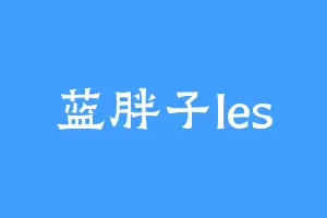 蓝胖子les