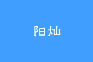 阳灿