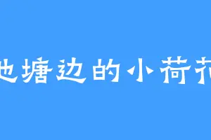 池塘边的小荷花