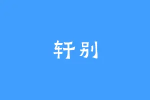 轩别
