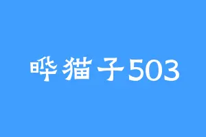 晔猫子503