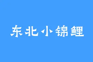 东北小锦鲤