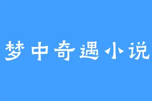 梦中奇遇小说