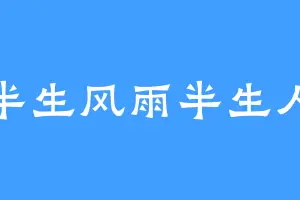 半生风雨半生人
