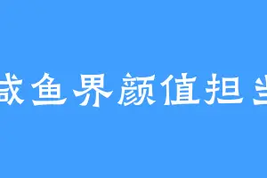 咸鱼界颜值担当