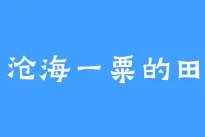 沧海一粟的田