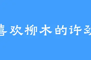 喜欢柳木的许劲