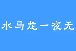 车水马龙一夜无眠