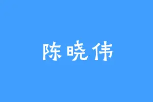 陈晓伟