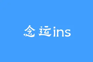 念运ins
