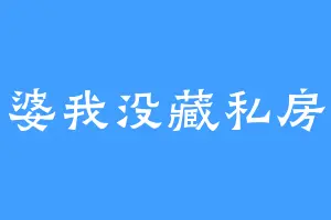 老婆我没藏私房钱