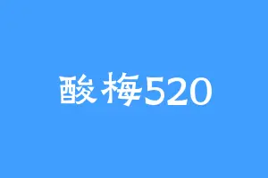 酸梅520