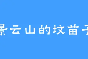 景云山的坟苗子