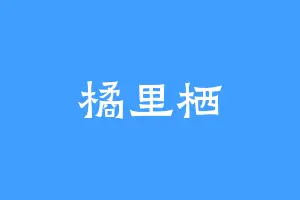 橘里栖