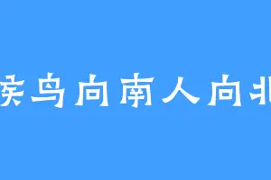 候鸟向南人向北