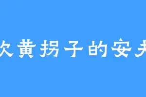喜欢黄拐子的安夫人