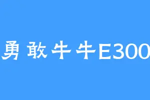 勇敢牛牛E300