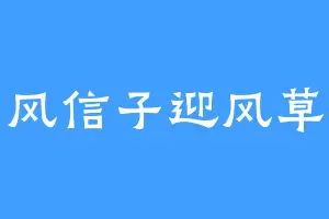 风信子迎风草