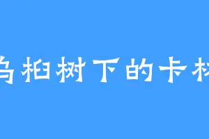 乌桕树下的卡林