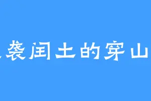 夜袭闰土的穿山甲