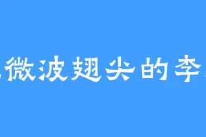 爱吃微波翅尖的李潇生