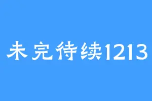 未完待续1213