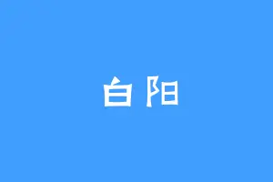 白阳