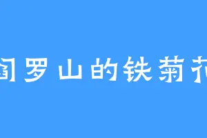 阎罗山的铁菊花