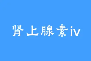 肾上腺素iv