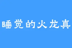 爱睡觉的火龙真人