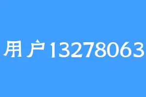 用户13278063