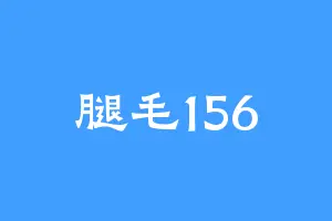 腿毛156
