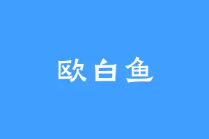 欧白鱼