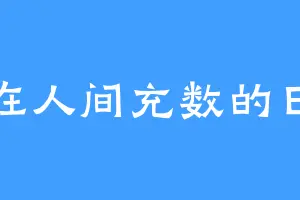 我在人间充数的日子