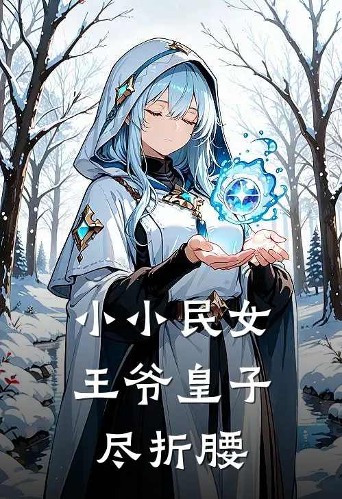 小小民女，王爷皇子尽折腰