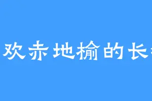 喜欢赤地榆的长铗