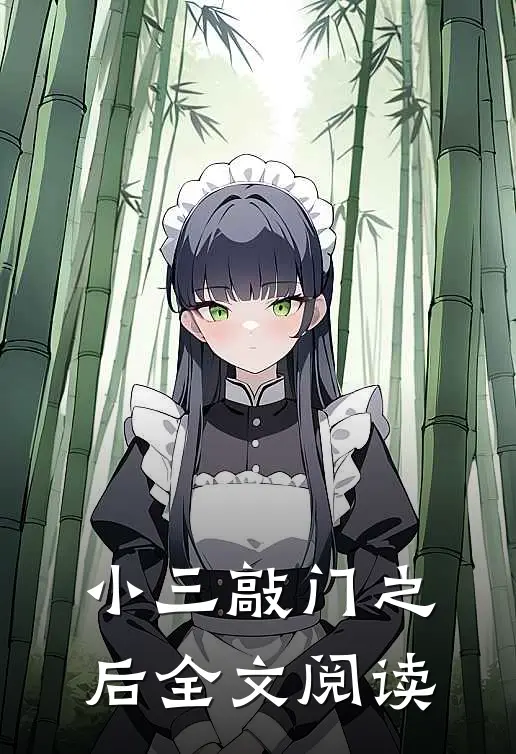 小三敲门之后全文阅读
