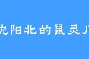 沈阳北的鼠灵儿