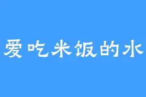 爱吃米饭的水
