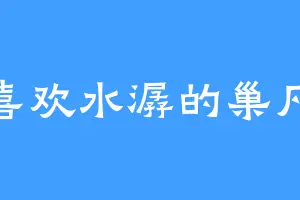 喜欢水潺的巢凡