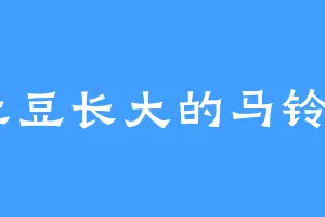 吃土豆长大的马铃薯H