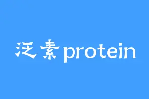泛素protein