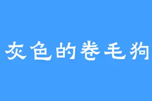 灰色的卷毛狗
