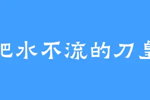 肥水不流的刀皇